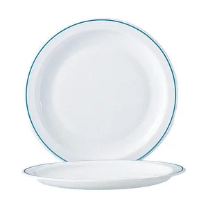 Teller flach 23cm (ARC 19159) Hoteliere Delft 