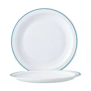 Teller flach 23cm (ARC 19159) Hoteliere Delft 