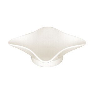 Schale in Sternform 13x13x4,5cm Ivoris Aurea RAK