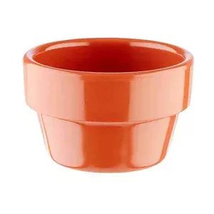 Schale Ø6cm H.3,5cm terrakottaoptik Flower Pot Assheuer & Pott