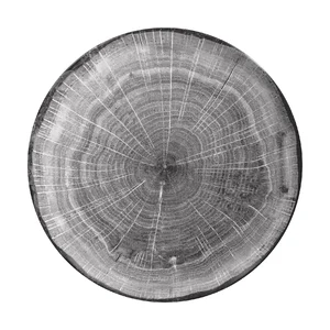 Teller Ø24cm coup Fusion Woodart beech grau RAK