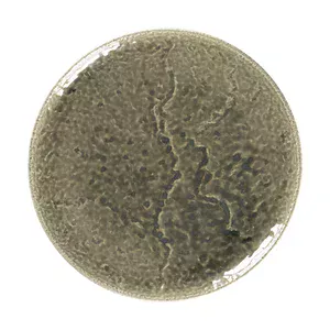 Teller flach Ø30,1cm coup Rakstone Krush grey RAK