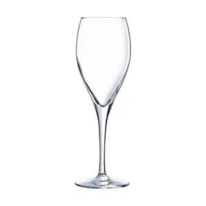 Champagnerkelch  26cl Oenologue Expert Chef & Sommelier