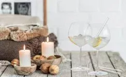 Zwiesel Glas Vinody