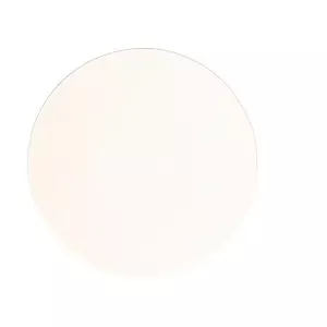 Teller 29cm flach Cilantro Ivoris Allspice RAK