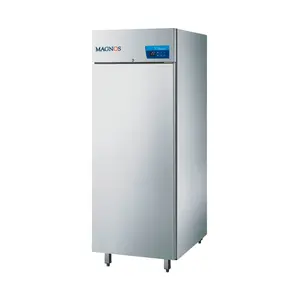 Tiefkühlschrank GN 2/1 BR570 Magnos  720 x 840 x 2050 mm Linksanschlag Cool Compact