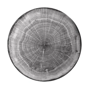 Teller Ø27cm coup Fusion Woodart beech grau RAK