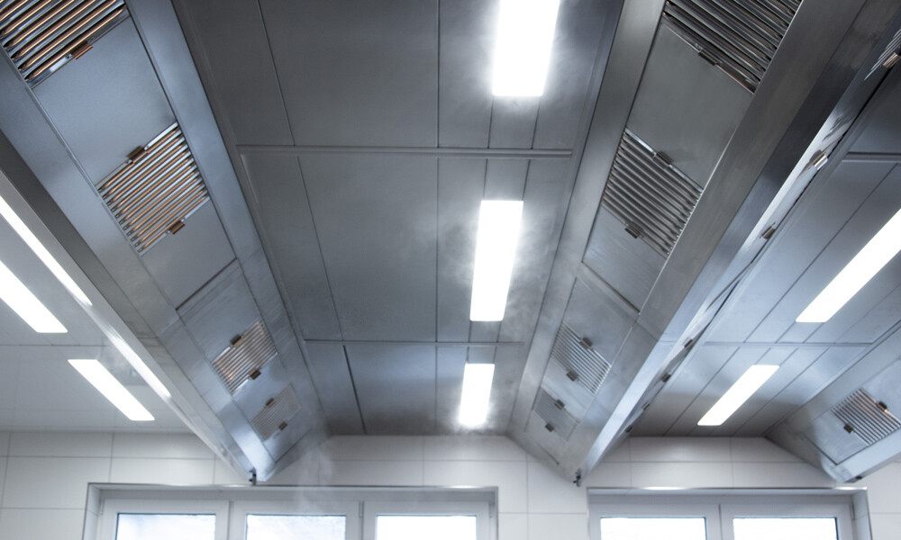 Freier Stein IMG 7957 1000x600px