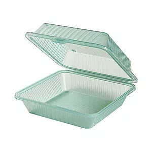 Behälter 23 x 23,5 x 9,5 cm Eco-Takeouts grün Contacto
