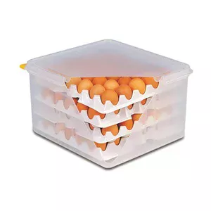 Eierbox 2/3 GN 35,4x32,5 cm m.8 Eiertabletts Kunststoff Assheuer & Pott