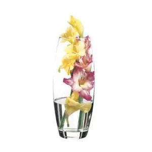 Vase Ellipse Glas 8x26cm 