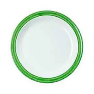 Teller flach Ø 19,5 cm Bistro Melamin Grün 