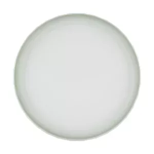 Teller flach rund 20cm Edge Gradient Sage Bauscher