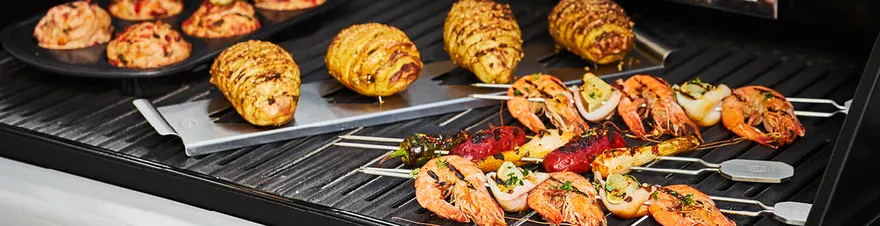 Gastro Grills